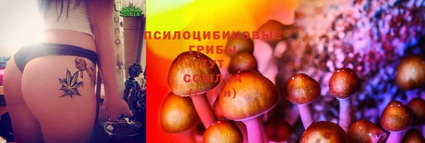 хмурый Балахна